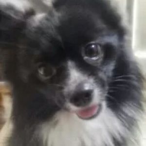 Meet your Posher, Arianna